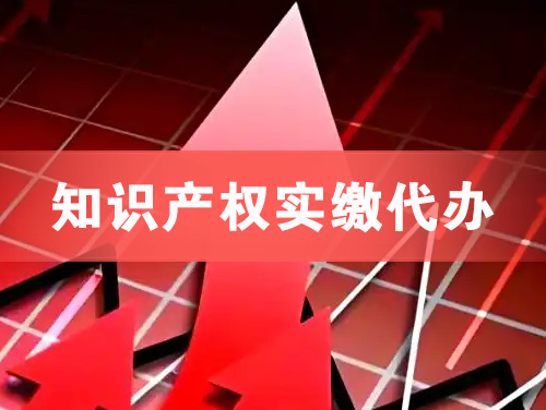 海宁知识产权实缴资本代办